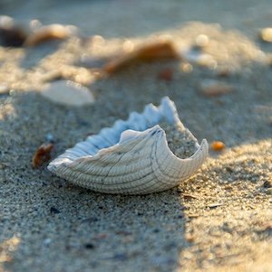 perder a un ser querido