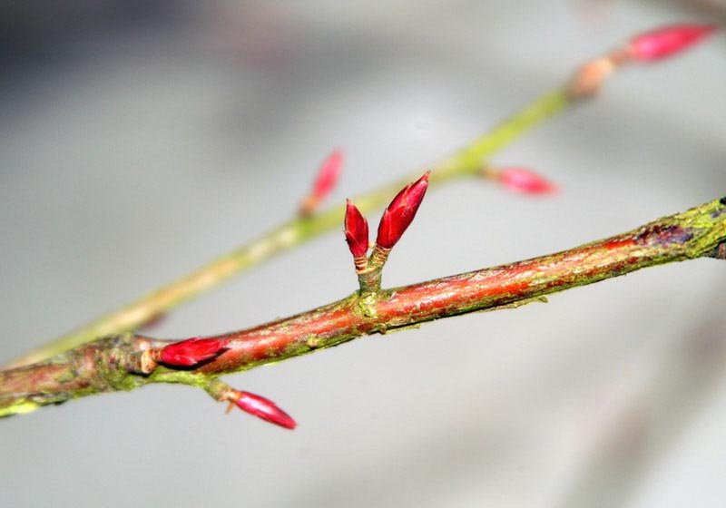 Ciudad Redonda. Un lugar para compartir lo que somos.