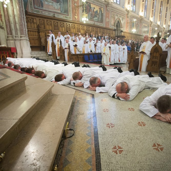 Mensaje de BENEDICTO XVI para la XLIII Jornada mundial de oración por las vocaciones