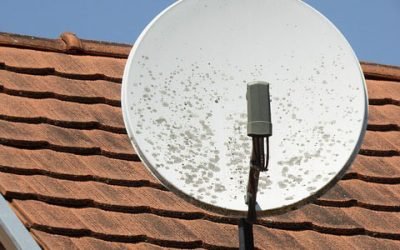 Paolo Ruffini, laico y padre de familia, Prefecto del Dicasterio de la Comunicación