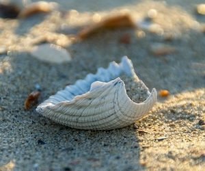 Perder a un ser querido por suicidio