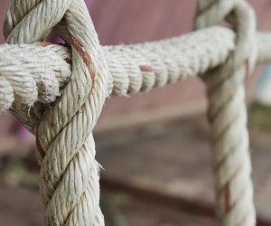 ¿Qué es lo que se te ha dado para que cargues?