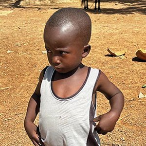 Día 13. – 17 de marzo, lunes de la segunda semana