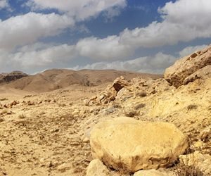 Video – Comentario al Evangelio del Domingo, 9 de Marzo de 2025