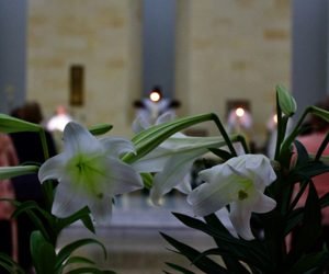 Video – Comentario al Evangelio del Domingo de Resurrección, 20 de Abril de 2025