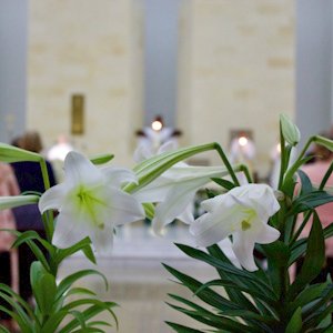 Video – Comentario al Evangelio del Domingo de Resurrección, 20 de Abril de 2025