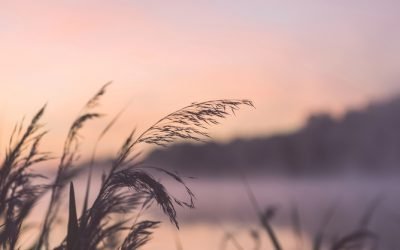 El empujoncito de Dios dentro de nosotros