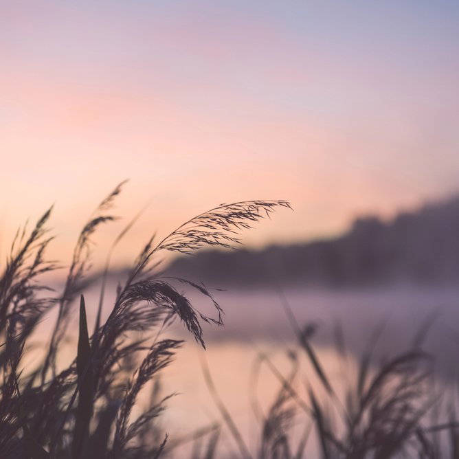 El empujoncito de Dios dentro de nosotros