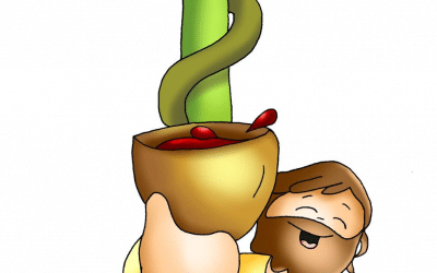 Evangelio Seglar para el Domingo de la Exaltación de la Santa Cruz – 14 de septiembre de 2025