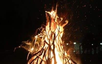 Imágenes para el Adviento