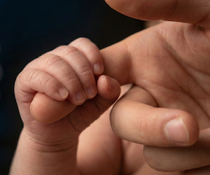 Los mansos ya no heredan la tierra