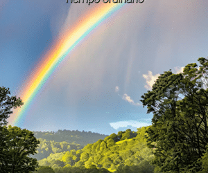 “PERO YO OS DIGO”… ¿CÓMO VIVIR EN ALIANZA, Domingo 6 del tiempo ordinario, ciclo A.