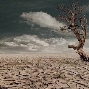 ¿Puede la tierra gritar?