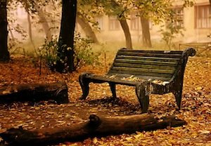 El Sol, Las Tormentas, La Selva, Los Desiertos, y La Espiritualidad