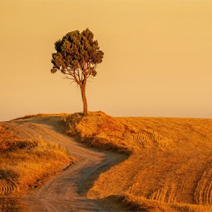 Cuaresma 2022: Lunes 4 de marzo Semana V de Cuaresma