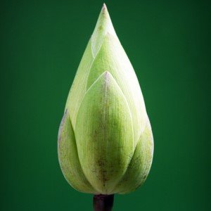 La experiencia mística y la gente común