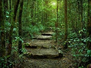 Reconsiderando – Las Directrices para un Largo Recorrido