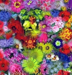 La mujer (V Lunes de Cuaresma)