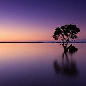 Nuestro anhelo de la inmortalidad terrenal