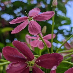 Es saludable amar tu vida