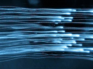 Por un momento, no tengas miedo…