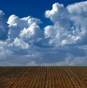 Hijos del cielo y de la tierra