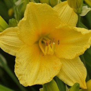 Lecciones a causa del fracaso