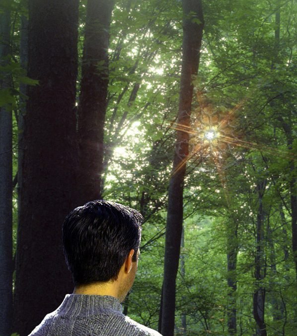 Buscando al Dios de la vida