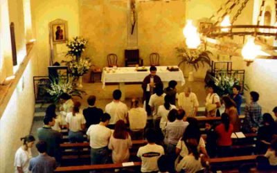 Los jóvenes y la Parroquia:
Algunas paradojas