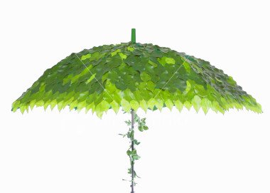 La hoja que no quería agua