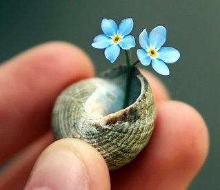 Permanecer despiertos