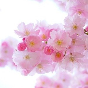 Crear y mantener espacio para nuestra aflicción