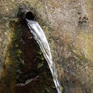 Tres Llamadas: III Lunes de Cuaresma