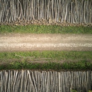 Superar las divisiones que nos dividen