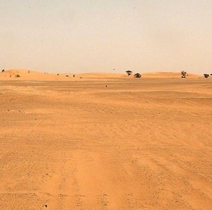 Llorar nuestra esterilidad