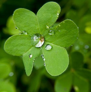 Tres Llamadas: III Sábado de Cuaresma