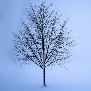 La pérdida del cielo y el temor al infierno