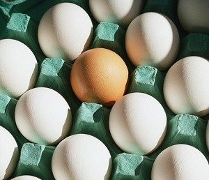 Religión, pensamiento secular, y salud y felicidad