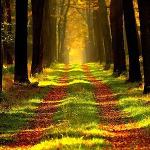 La noción de vocación