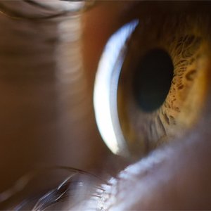 Cuaresma 2022: Miércoles 30 de marzo semana IV de Cuaresma