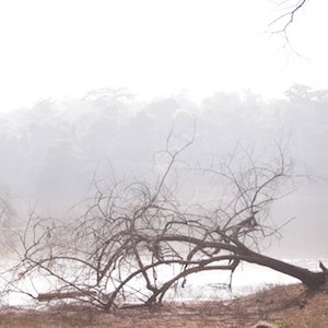 Reticencia y secreto como virtud