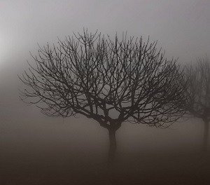 El lado positivo de la melancolía