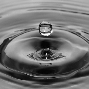 El celibato consagrado – Una apología