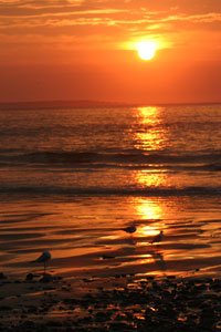 EL LARGO AMANECER DE LA NUEVA FORMA