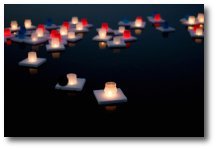 MADRE de la COHESIÓN