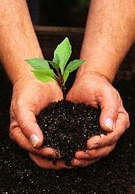 La tierra buena de la amistad (I)