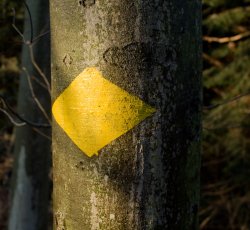 Haciendo Lo Correcto, Porque Es Correcto